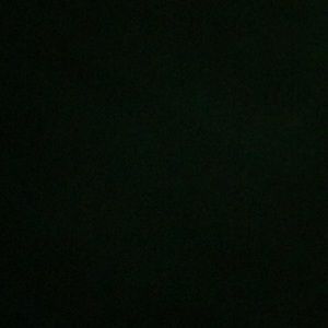 Meet your Posher, Shelby